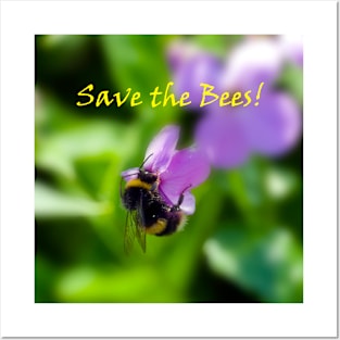 Bumblebee on a lilac flower Posters and Art